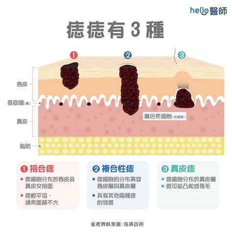 墨痣形成|墨的分類（墨有幾多種類？） 